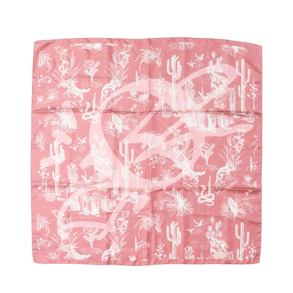 Christian Dior Dior Bandana 22AW Travis Scott Cactus Jack Silk Scarf (Bandana...